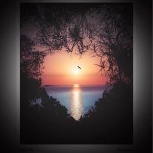 Meet your Posher, Meredith